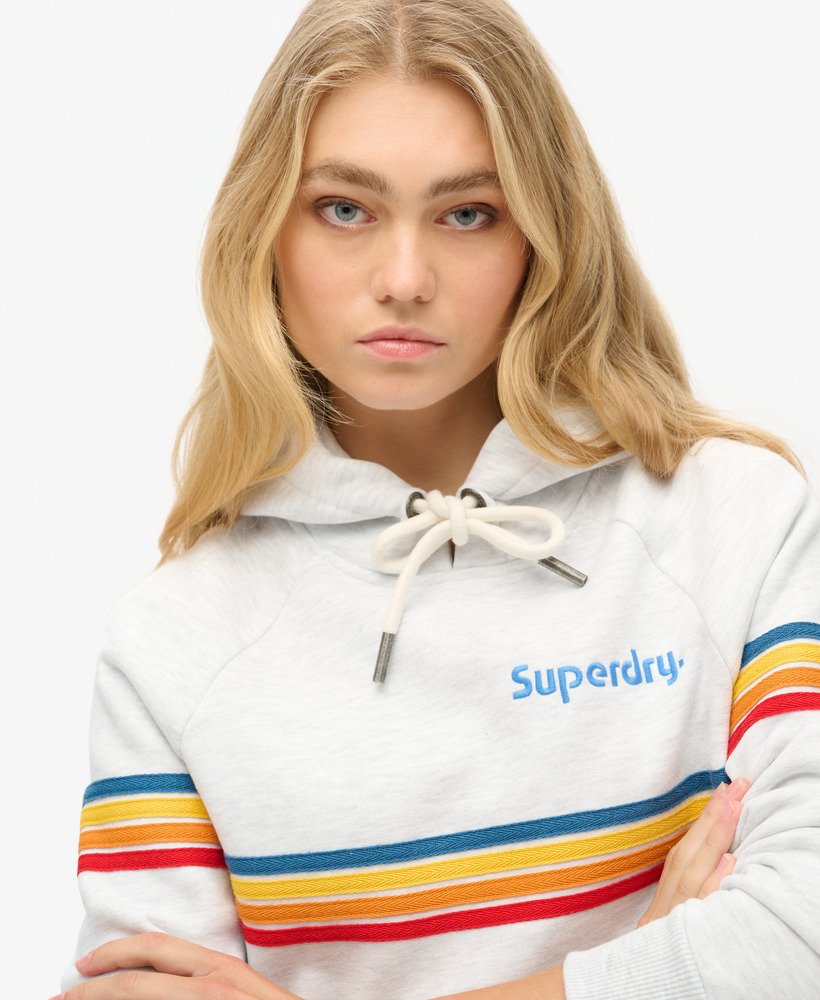 moletom com capuz e logo rainbow stripe na cor cinza mescla gelo.
